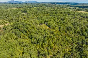 500 Monroe Davis Ln, Pinnacle, NC 27043 - Photo 44