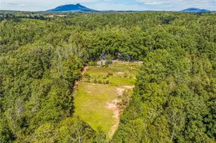500 Monroe Davis Ln, Pinnacle, NC 27043 - Photo 42