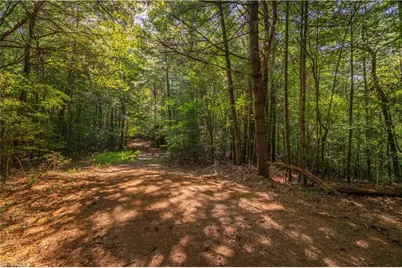 Tbd Beacon Lane, Mount Airy, NC 27030 - Photo 6