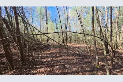 Tbd Beacon Lane, Mount Airy, NC 27030 - Photo 18