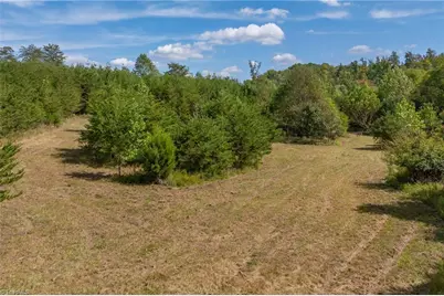 0 Wright Road, Westfield, NC 27053 - Photo 14