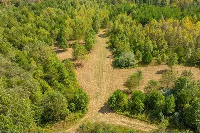 0 Wright Road, Westfield, NC 27053 - Photo 10