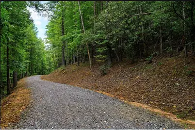 0000 Chestnut Grove Road, Millers Creek, NC 28651 - Photo 22