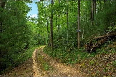 0000 Chestnut Grove Road, Millers Creek, NC 28651 - Photo 50