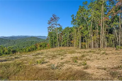 Tract 99 Widow Mountain Drive, McGrady, NC 28649 - Photo 16
