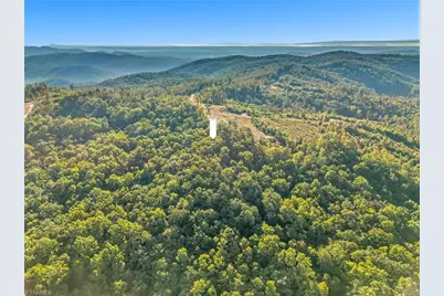 Tract 99 Widow Mountain Drive, McGrady, NC 28649 - Photo 8