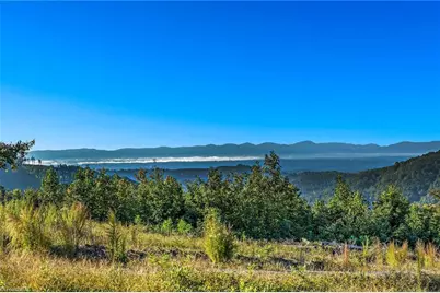 Tract 99 Widow Mountain Drive, McGrady, NC 28649 - Photo 26