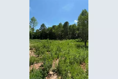 2625 Sprouse Road, Boonville, NC 27011 - Photo 14
