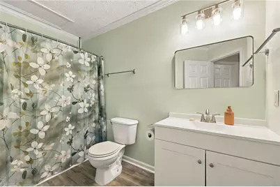 3717 Angus Lane, Efland, NC 27243 - Photo 32
