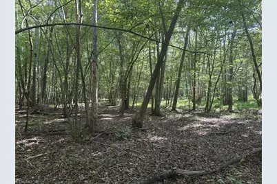7809 Thomas Road, Stokesdale, NC 27357 - Photo 20