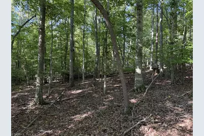 7809 Thomas Road, Stokesdale, NC 27357 - Photo 18