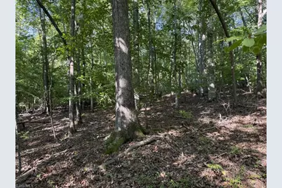 7809 Thomas Road, Stokesdale, NC 27357 - Photo 16