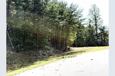 Tbd Ridge Run Road, Boomer, NC 28606 - Photo 14