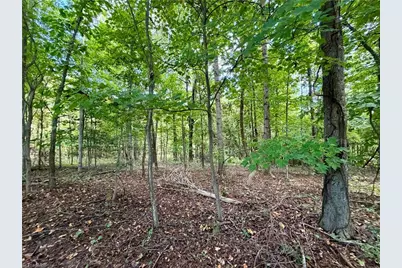Tbd Antigua Drive, Moravian Falls, NC 28654 - Photo 4