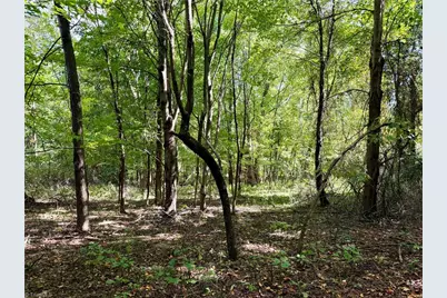 Tbd Antigua Drive, Moravian Falls, NC 28654 - Photo 8