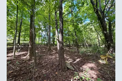 Tbd Antigua Drive, Moravian Falls, NC 28654 - Photo 6