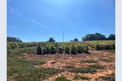 1300 Charity Church Road, Boonville, NC 27011 - Photo 12