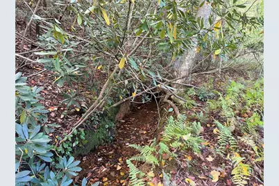 Lot 60 Jonathan Drive, Lowgap, NC 27024 - Photo 6