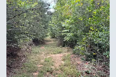 01 Cane Creek Church Road, McGrady, NC 28649 - Photo 8