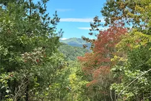 01 Cane Creek Church Rd, McGrady, NC 28649 - Photo 1