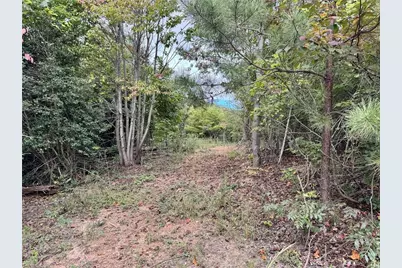01 Cane Creek Church Road, McGrady, NC 28649 - Photo 20