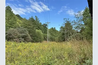 01 Cane Creek Church Road, McGrady, NC 28649 - Photo 24