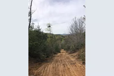 01 Cane Creek Church Road, McGrady, NC 28649 - Photo 10