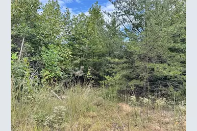 01 Cane Creek Church Road, McGrady, NC 28649 - Photo 14