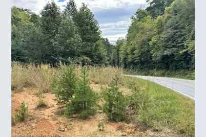 01 Cane Creek Church Road, McGrady, NC 28649 - Photo 32