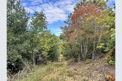 01 Cane Creek Church Road, McGrady, NC 28649 - Photo 16