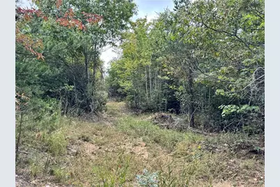 01 Cane Creek Church Road, McGrady, NC 28649 - Photo 6