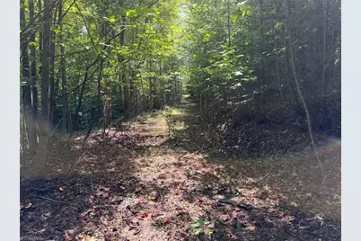 000 Friendly Grove Church Road, Millers Creek, NC 28651 - Photo 16