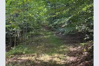 000 Friendly Grove Church Road, Millers Creek, NC 28651 - Photo 12