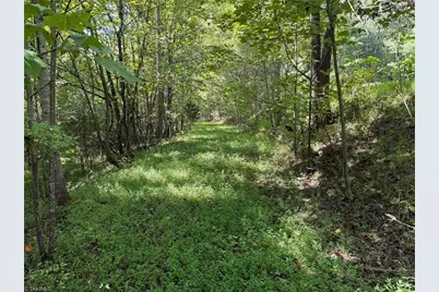 000 Friendly Grove Church Road, Millers Creek, NC 28651 - Photo 6