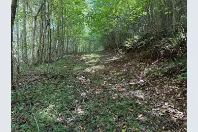 000 Friendly Grove Church Road, Millers Creek, NC 28651 - Photo 10