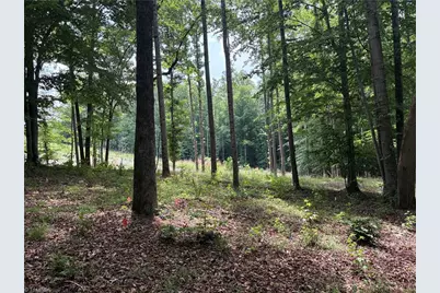 6455 Reubens Ridge Drive, Winston-Salem, NC 27105 - Photo 2