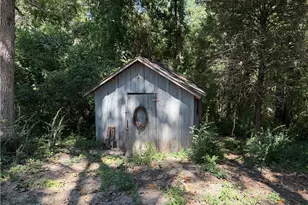 1256 Browns Mill Rd, Robbins, NC 27325 - Photo 22