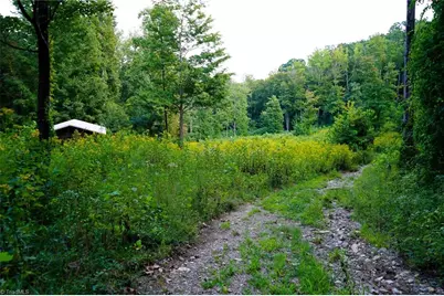 671 Ramey Orchard Road, Lowgap, NC 27024 - Photo 6