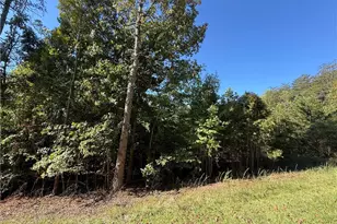 0 Cedar Forest Rd, Franklinville, NC 27248 - Photo 1