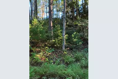 Tbd Fishers Peak View, Ennice, NC 28623 - Photo 6