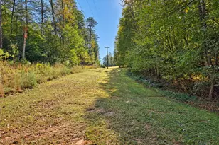1198 Jackson Rd, Westfield, NC 27053 - Photo 38