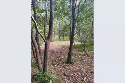 1574 Major Hill Road, Snow Camp, NC 27349 - Photo 12