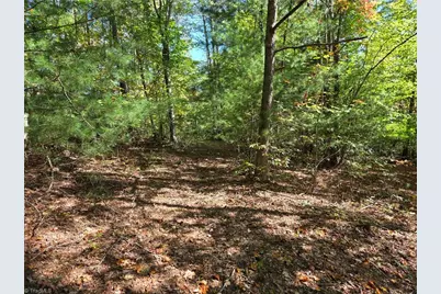1198 Jackson Road #10, Westfield, NC 27053 - Photo 8