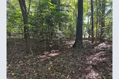 3.6 Maple Street #3.6 Acres, Jonesville, NC 28642 - Photo 8