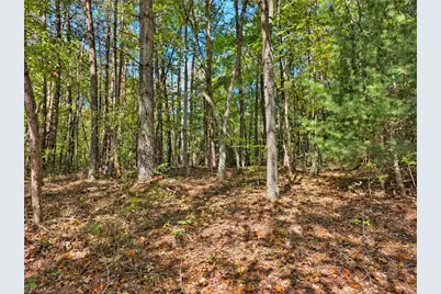 1198 Jackson Road #17, Westfield, NC 27053 - Photo 46