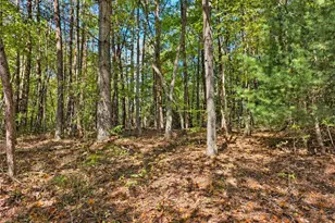 1198 Jackson Rd, Westfield, NC 27053 - Photo 46