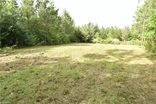 1034 Paschal Rd, Yanceyville, NC 27379 - Photo 1