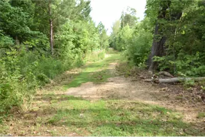 1034 Paschal Road, Yanceyville, NC 27379 - Photo 2