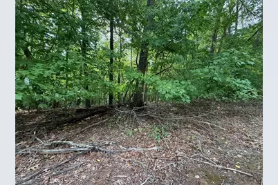 6700 Lot 25+/- Acres Doral Drive, Tobaccoville, NC 27050 - Photo 24