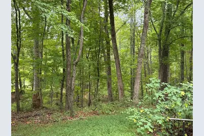 6700 Lot 25+/- Acres Doral Drive, Tobaccoville, NC 27050 - Photo 20